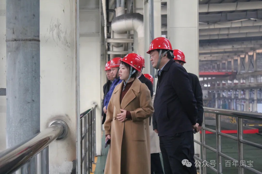 陈佳到乐鱼（中国）调研